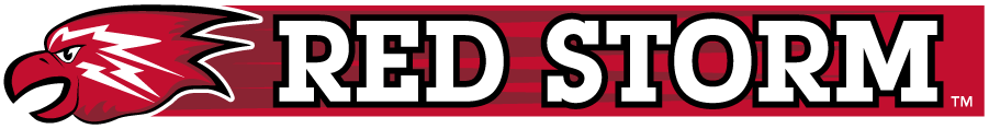 St. John's Red Storm 2013-2015 Misc Logo v2 DIY iron on transfer (heat transfer)